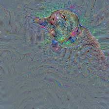 n02099712